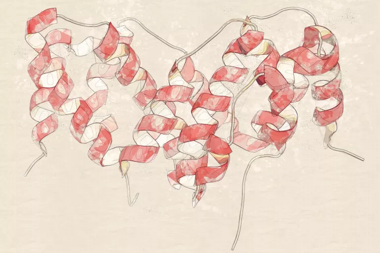Protein
