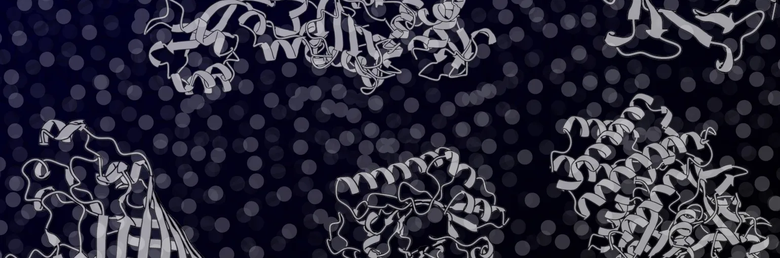 Protein universe