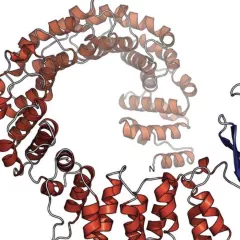 Protein structure